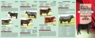 Semen Package - Cattle Management by Optimal Bovines Inc.