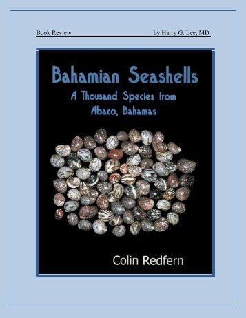 Bahamian seashells a thousand species from Abaco, Bahamas