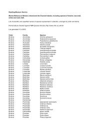 Collection shells list marine molluscs - collectionsgateway.org.uk ...