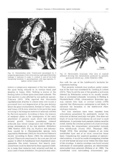 Diseases of Echinodermata. 11. Agents metazoans ... - Inter Research