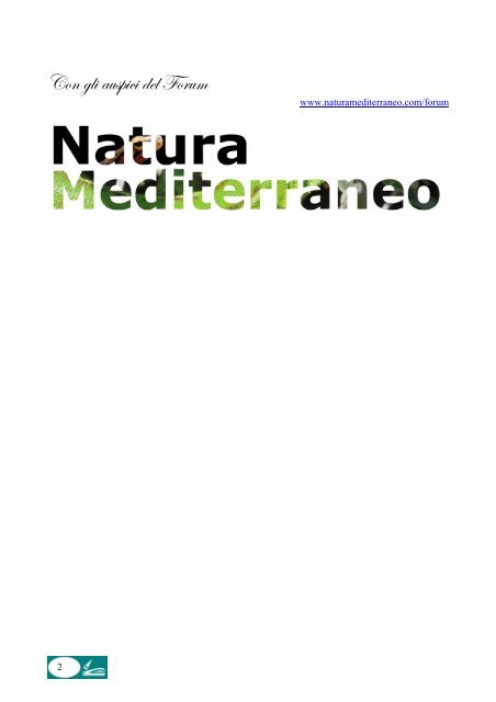 elenco sistematico semplificato - Natura Mediterraneo