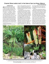 Chamal (Dioon edule Lindl.) in the State of San Luis ... - Cycad Society