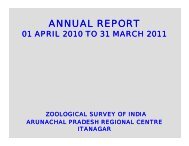 APRC-Itanagar - Zoological Survey of India