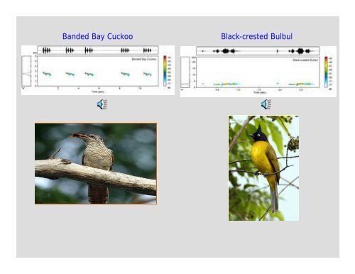 APRC-Itanagar - Zoological Survey of India