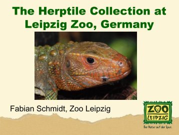 Herpetology at the Leipzig Zoo - snakeTAG