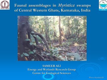 Myristica Swamps of the Western Ghats -Sameer Ali