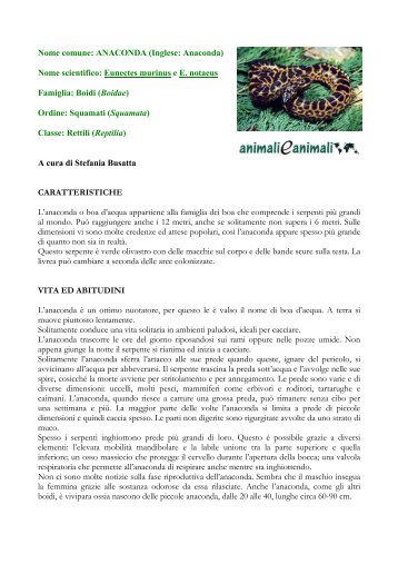 Nome comune: ANACONDA (Inglese: Anaconda ... - Animali e animali