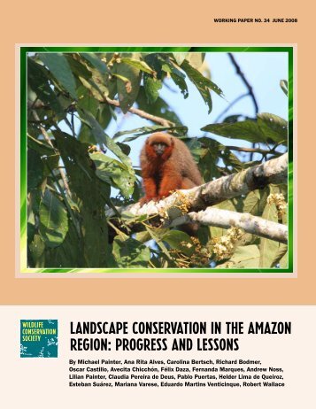 Landscape conservation in the amazon region - WCS Bolivia