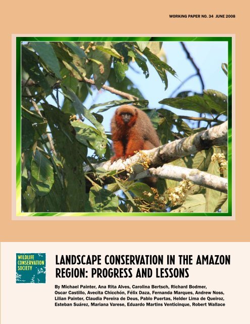 Landscape conservation in the amazon region - WCS Bolivia