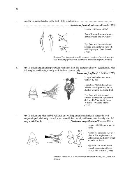 Guide to identification of Lumbrineridae - NMBAQC