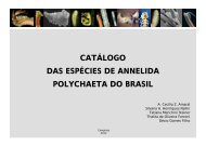 catálogo das espécies de annelida polychaeta do brasil