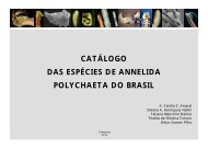 catálogo das espécies de annelida polychaeta do brasil