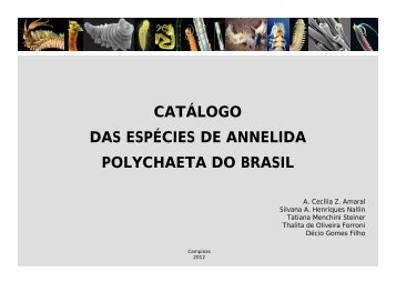 catálogo das espécies de annelida polychaeta do brasil