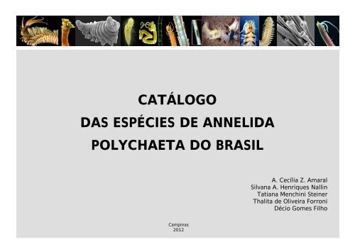 catálogo das espécies de annelida polychaeta do brasil