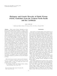 Phylogeny and Genetic Diversity of Palolo Worms (Palola ...