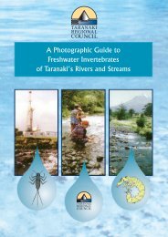 A Photographic Guide to Freshwater Invertebrates of Taranaki's ...
