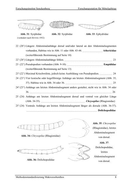 Bestimungsschlüssel – Diptera Larven - Fliessgewaesserbewertung ...
