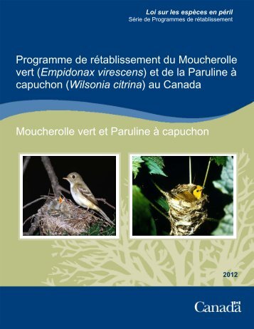 Moucherolle vert (Empidonax virescens) et Paruline à capuchon ...