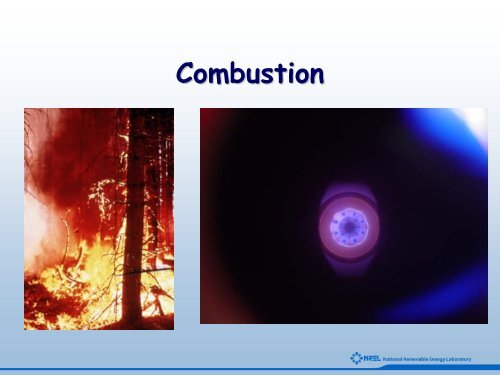 An Introduction to Biomass Thermochemical Conversion - NREL