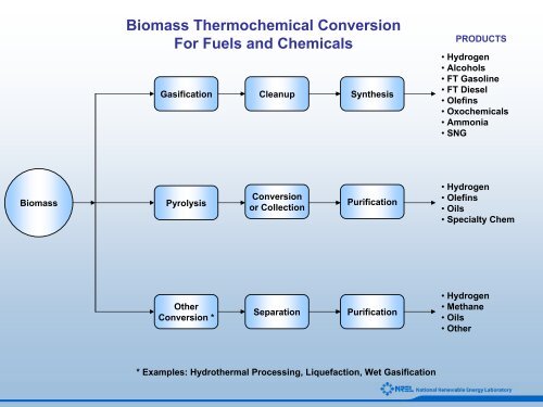 An Introduction to Biomass Thermochemical Conversion - NREL