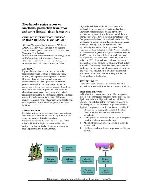 Bioethanol – status report on bioethanol production from wood and ...