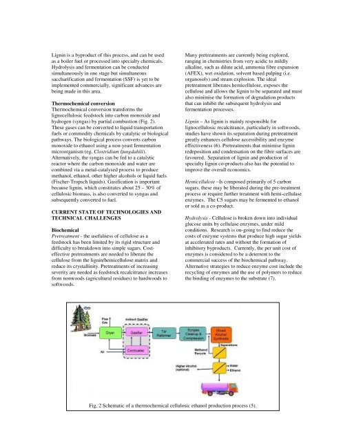 Bioethanol – status report on bioethanol production from wood and ...