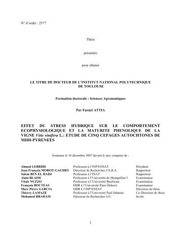 Effet du stress hydrique sur le comportement écophysiologique et la ...