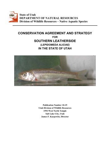 Conservation Agreement and Strategy for Southern Leatherside