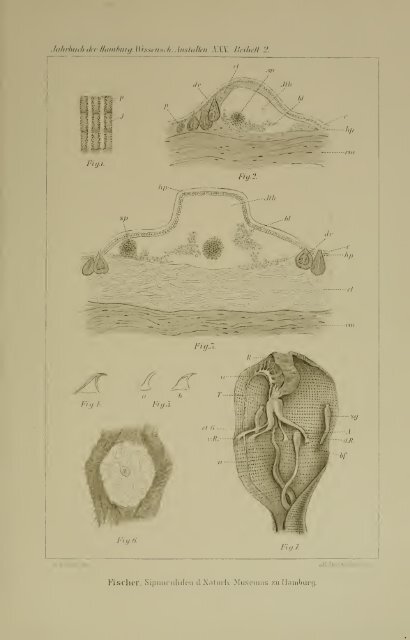 Jahrbuch der hamburgischen Wissenschaftlichen Anstalten