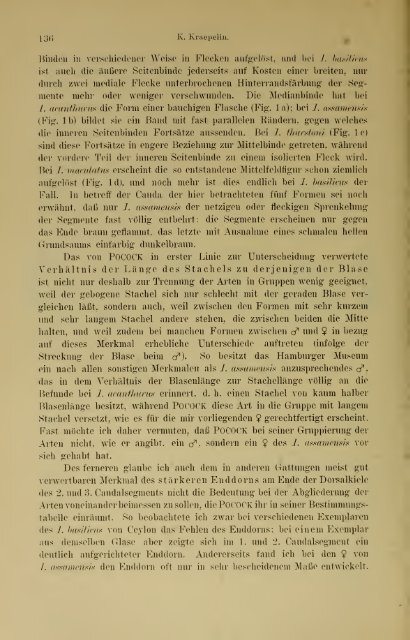 Jahrbuch der hamburgischen Wissenschaftlichen Anstalten