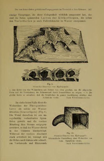 Jahrbuch der hamburgischen Wissenschaftlichen Anstalten