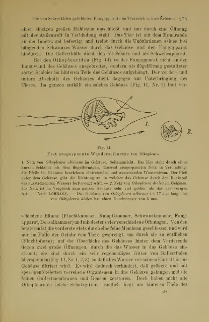 Jahrbuch der hamburgischen Wissenschaftlichen Anstalten