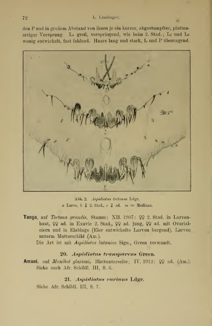 Jahrbuch der hamburgischen Wissenschaftlichen Anstalten