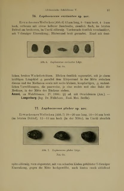 Jahrbuch der hamburgischen Wissenschaftlichen Anstalten