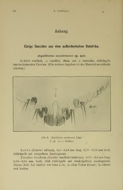 Jahrbuch der hamburgischen Wissenschaftlichen Anstalten