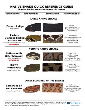 native snake quick reference guide - Florida Invasive Species ...