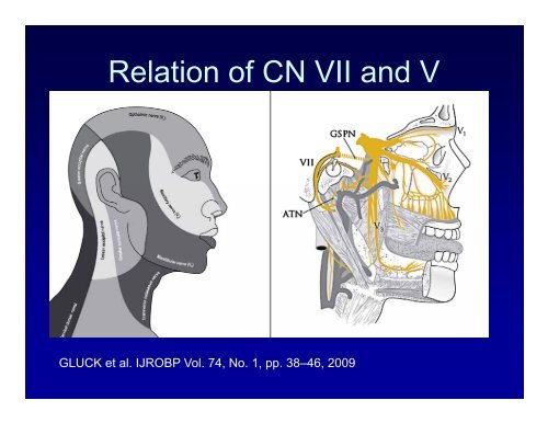 Basics of Head and Neck IMRT Planning and Anatomy - ASTRO