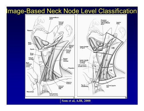 Basics of Head and Neck IMRT Planning and Anatomy - ASTRO