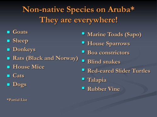 Boa Constrictors on the Aruba - WildAruba
