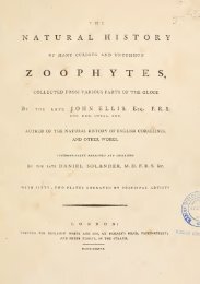 Z OOPHYTES, - The Bryozoa Home Page