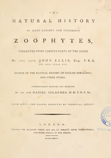 Z OOPHYTES, - The Bryozoa Home Page