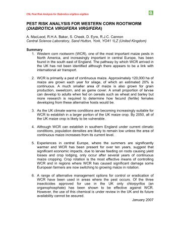 Diabrotica pest risk analysis - The Food and Environment Research ...