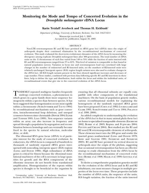 Monitoring the Mode and Tempo of Concerted Evolution ... - Genetics