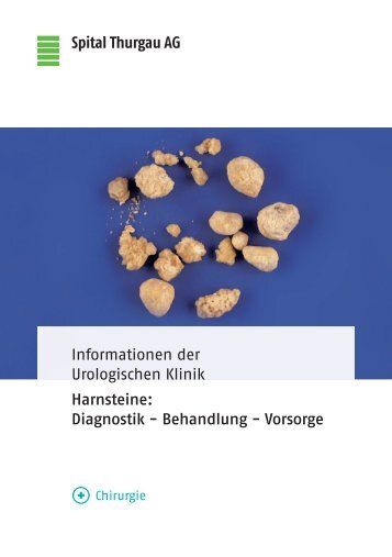 Harnsteine: Diagnostik - Behandlung - Vorsorge