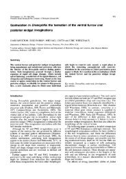 Gastrulation in Drosophila:the formation of the ventral furrow and ...