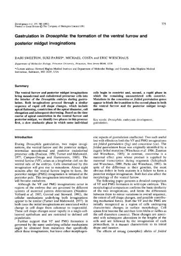 Gastrulation in Drosophila:the formation of the ventral furrow and ...