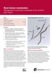 Root-lesion nematodes-Management of root-lesion nematodes