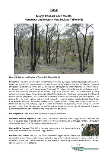 RVC 43 Mugga Ironbark open forests, Nandewar and western New ...