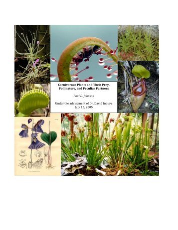 Carnivorous Plants and Their Prey