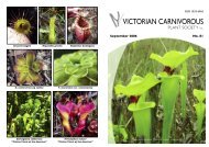 Travels around North Borneo – Part 1 - Victorian Carnivorous Plant ...